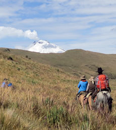 Ecuador Wildpferde Yanahurco